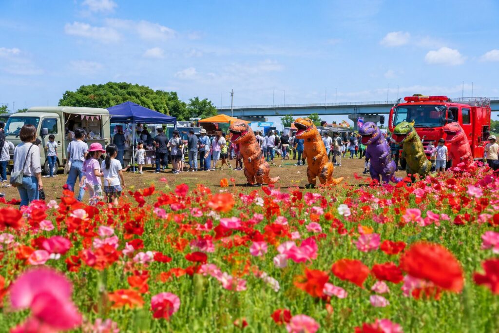 現在の画像: 松戸市 春の花まつり