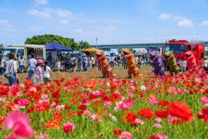 松戸市 春の花まつり