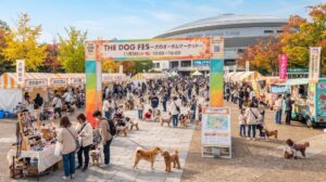 THE DOG FES 犬のオータムマーケット