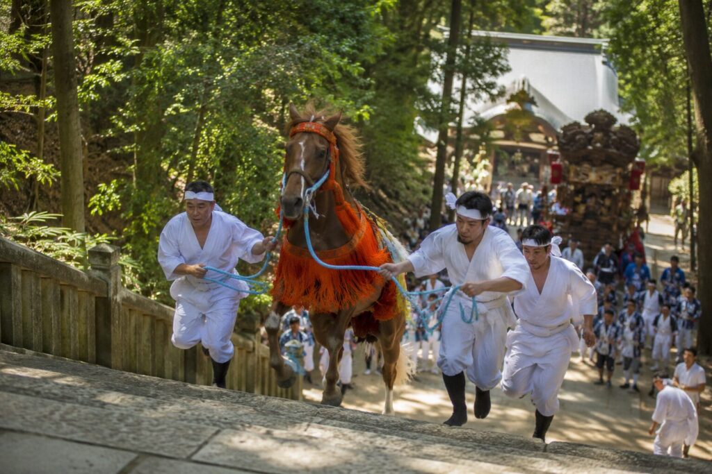 現在の画像: 君津市 人見神社「神馬」