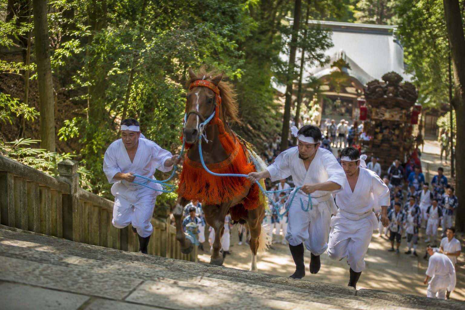 君津市 人見神社「神馬」