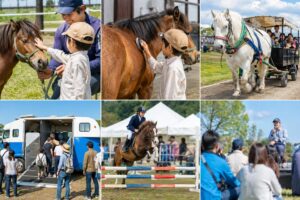 富里市 とみさと未来馬フェスタ